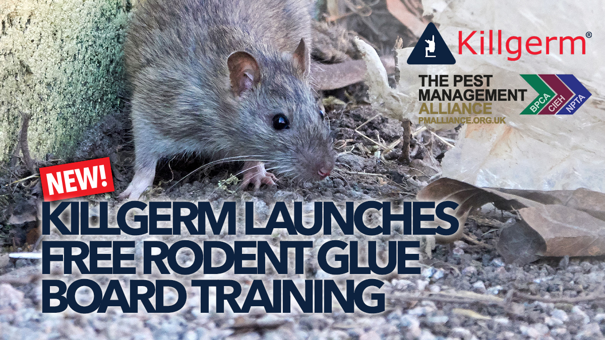 killgerm-free-glue-board-training killgerm-free-glue-board-training